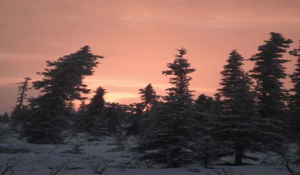 Alaska Trapping Living the Dream OutdoorHub