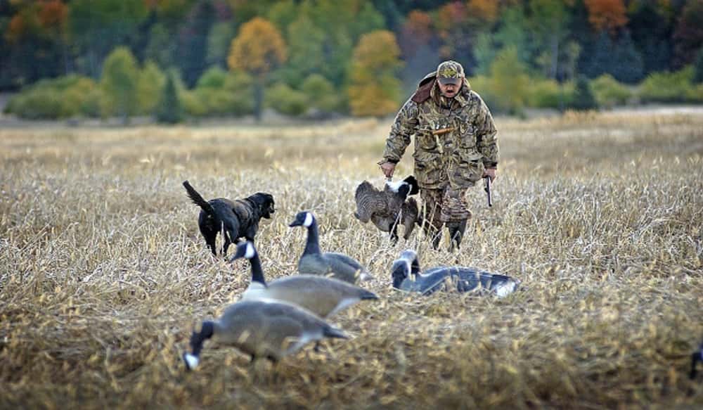 Small Game Hunting Begins Sept. 1 in Michigan OutdoorHub