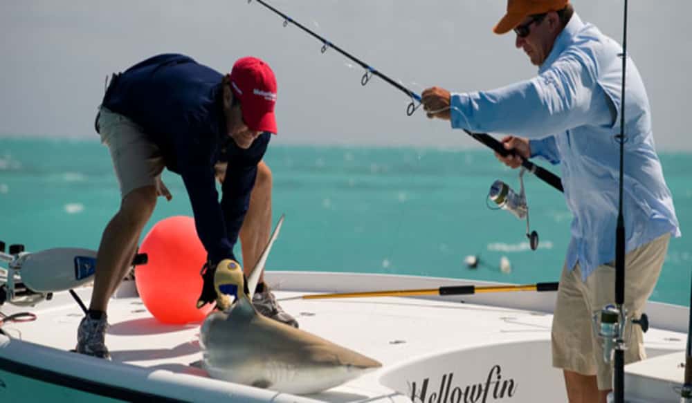 Flip the Bail to End Frustrating Spinning Reel Tangles OutdoorHub