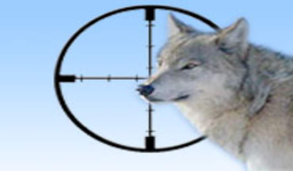 AntiWolf Hunting Activists Plan to Disrupt Minnesota Lottery