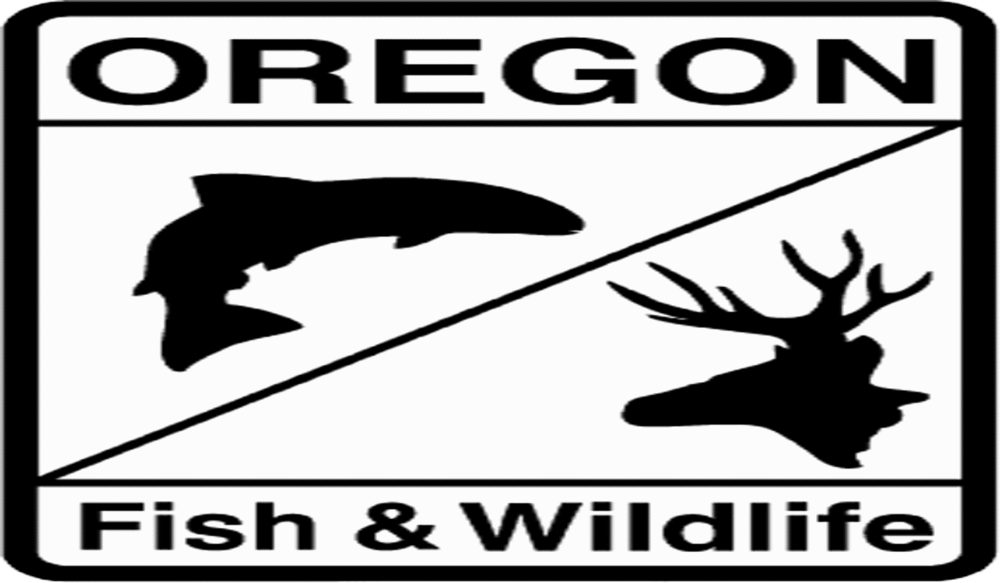 Oregon DFW to Host Family Fishing Event at Walter Wirth Lake OutdoorHub