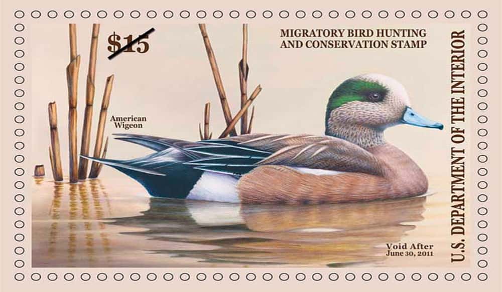 Waterfowlers Split on Proposed Duck Stamp Price Increase