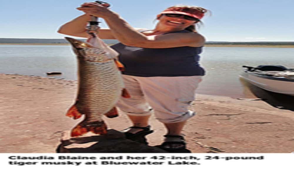 New Mexico Fish and Stocking Report for Sept. 18 OutdoorHub