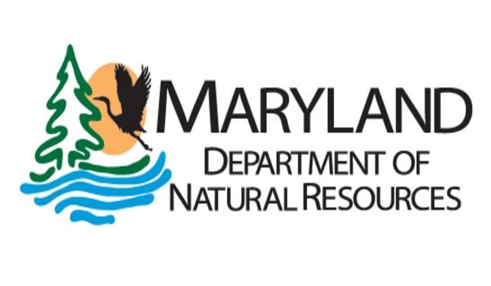 Firearm Deer Season Reopens in Maryland's Region B OutdoorHub