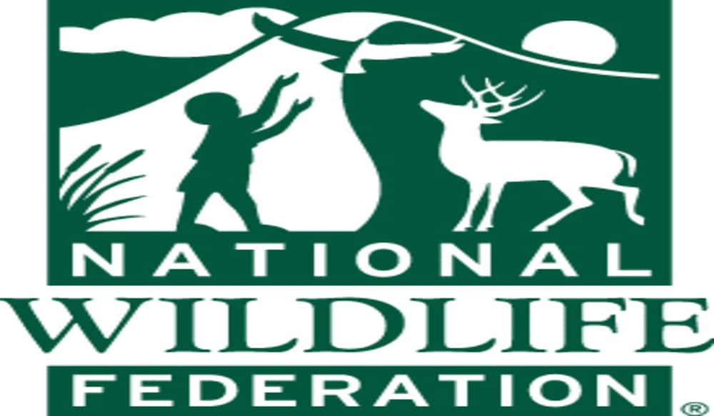 national wildlife federation stuffed animals