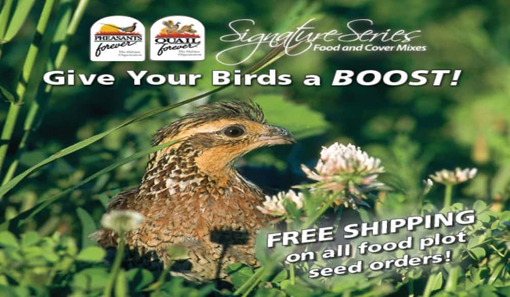 Free Shipping on Quail Food Plot Seed | OutdoorHub