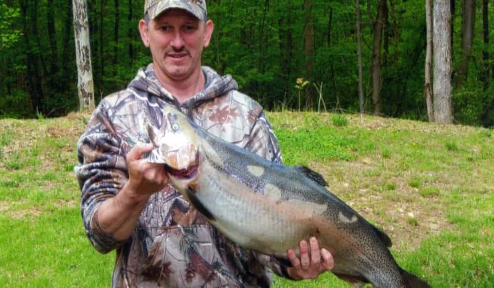 West Virginia Angler Catches New State Record Rainbow Trout OutdoorHub
