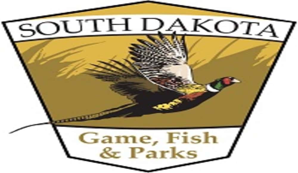 South Dakota GFP Opens Application Process for Deer Hunting Seasons
