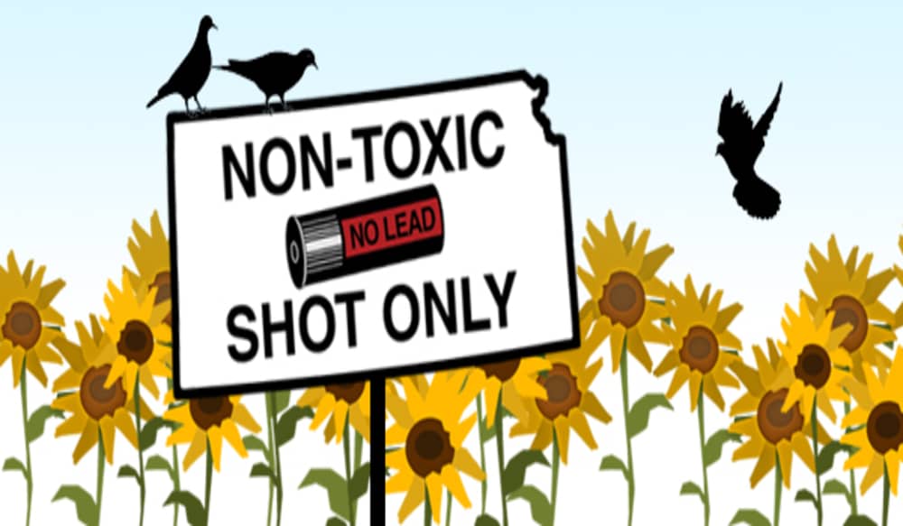 Specifically Managed Fields in Kansas Attract Doves and Hunters