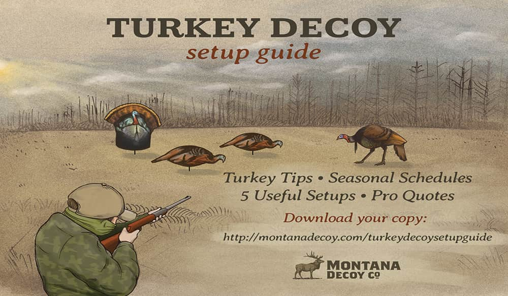 The Ultimate Turkey Decoy Setup Guide from Montana Decoy OutdoorHub