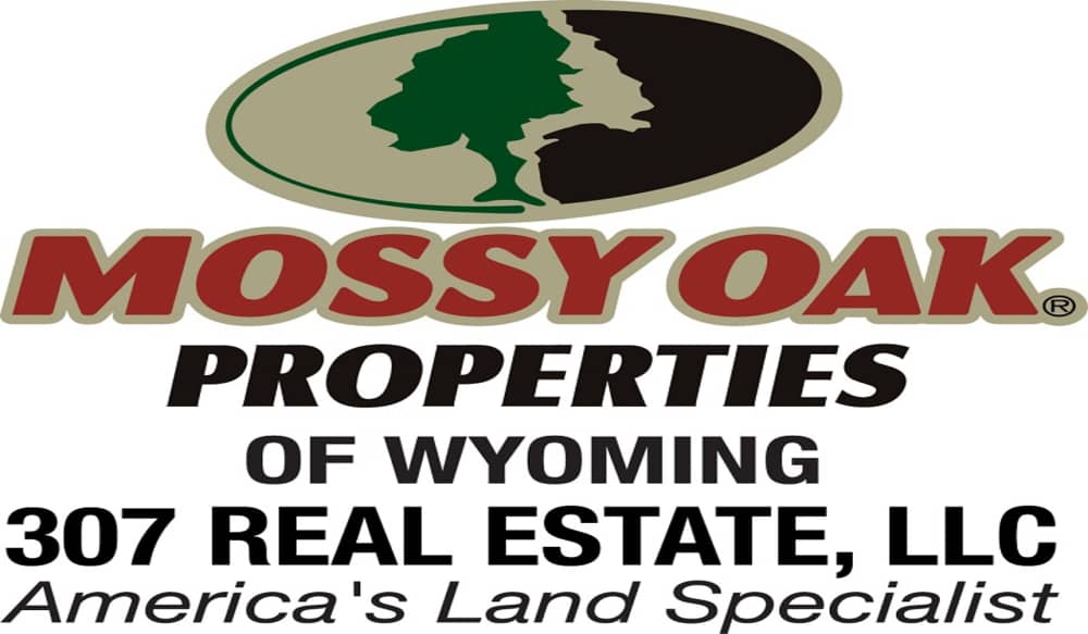 Mossy Oak Properties 