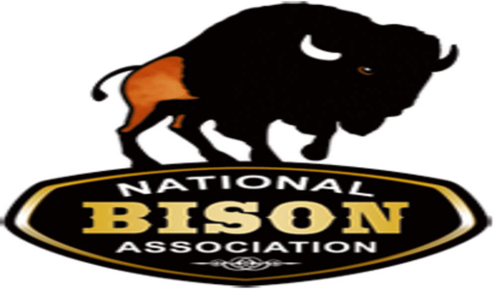 Senate Bill Introduced to Make Bison the National Mammal of the United