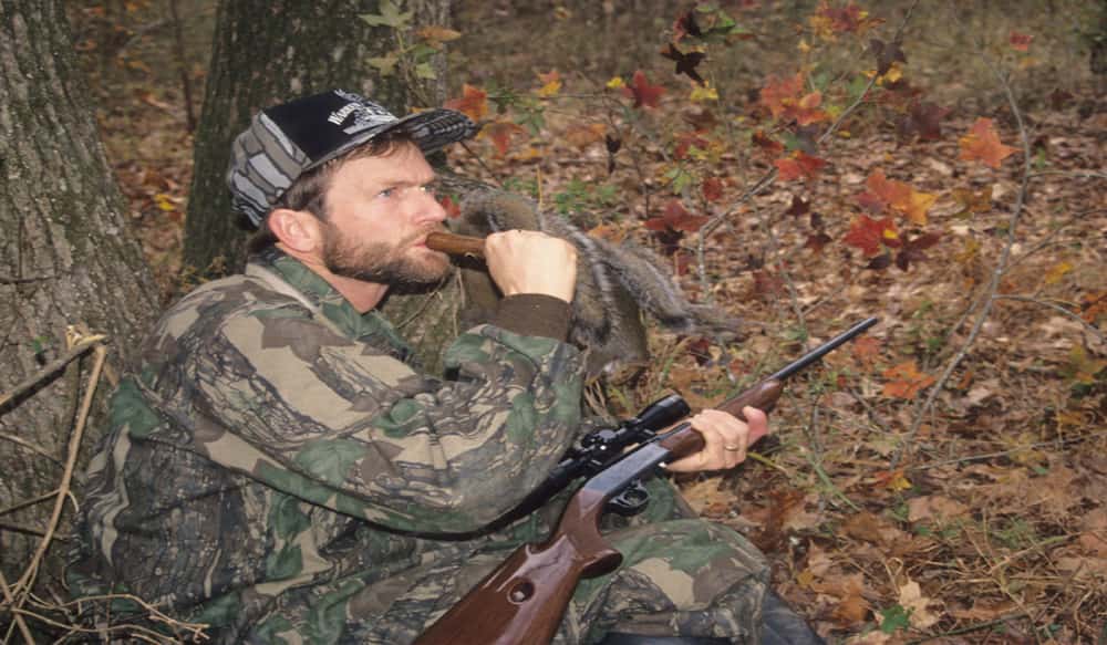 Squirrel Calling Tip to Enhance Hunting Fun and Success OutdoorHub