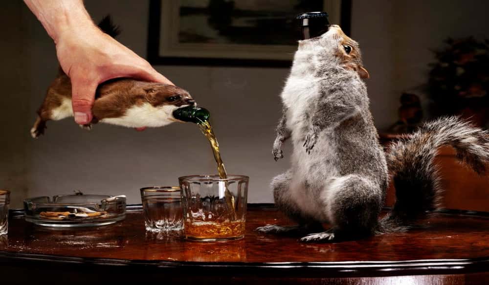 outdoorhub-the-story-of-the-worlds-strongest-beer-and-why-its-inside-a-squirrel-2015-03-23_18-53-30.jpg