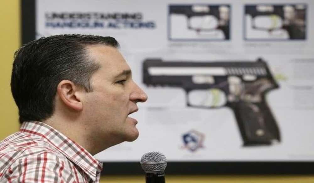 AP Photo of Gun Diagram Pointed at Ted Cruz Draws ...
