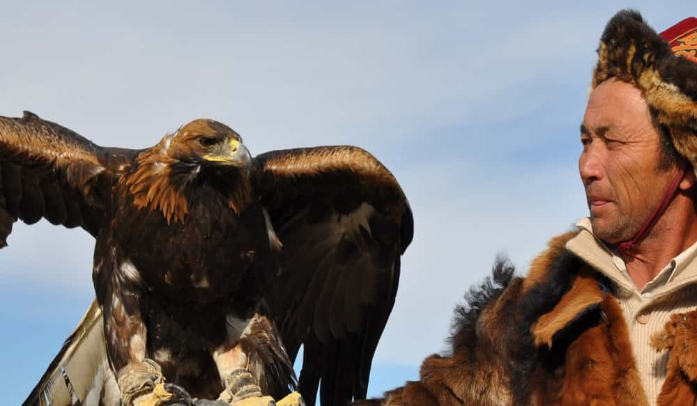 Video Watch Mongolians Hunt Wolves With Golden Eagles