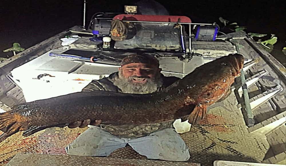 Maryland Bowfisherman Shoots Massive State Record Snakehead OutdoorHub