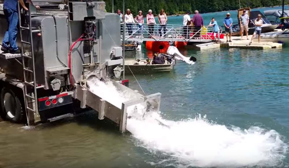 Video HighVolume Fish Stocking OutdoorHub