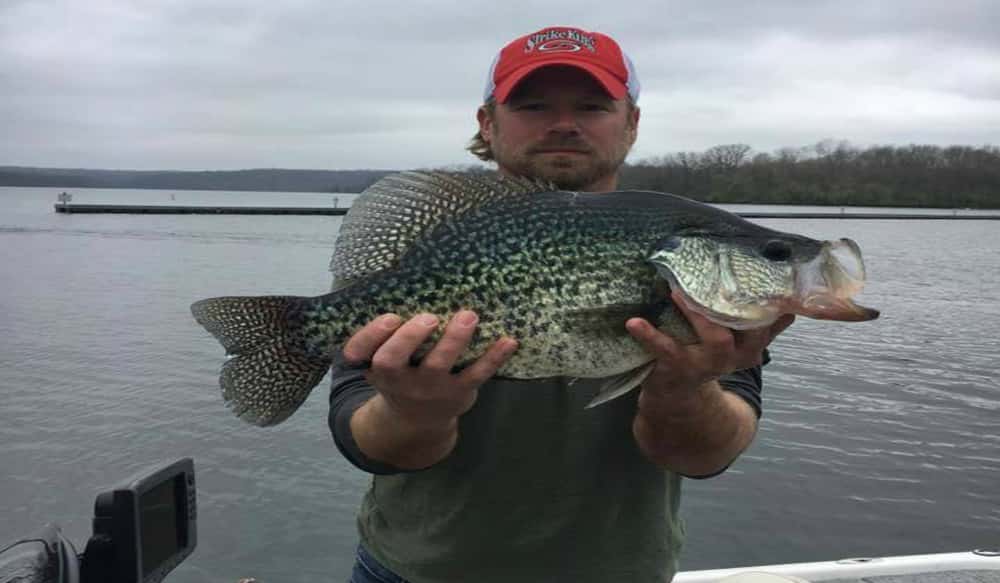 Potential New Illinois State Record Black Crappie OutdoorHub