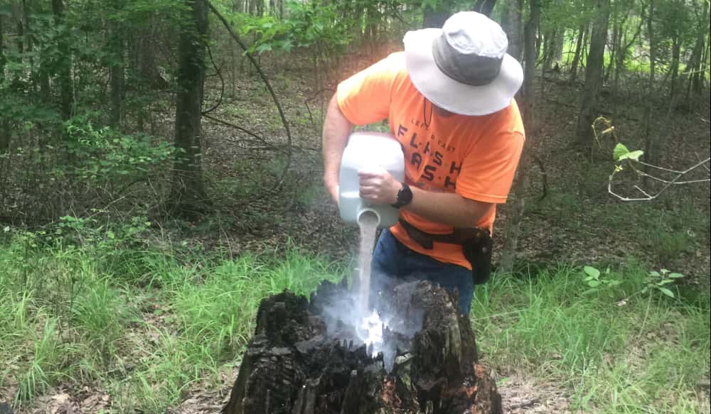 Do Deer Attractants Really Work? OutdoorHub