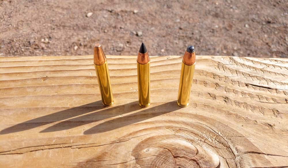 [SHOT 2019] Winchester's NEW 350 Legend Cartridge
