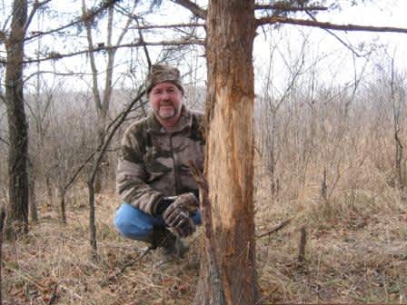 Guide to Leasing Hunting Land for Whitetail