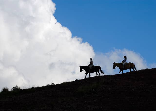Tips for First Time Horseback Hunters