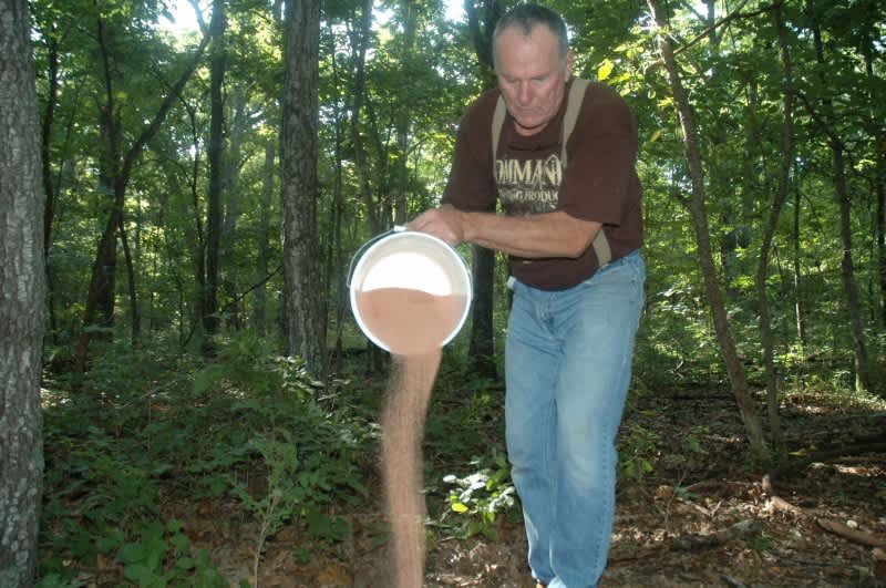 Make a Great Deer Mineral Lick