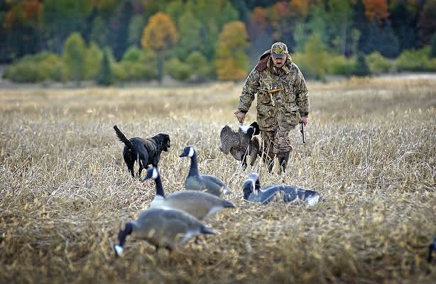 Small Game Hunting Begins Sept. 1 in Michigan