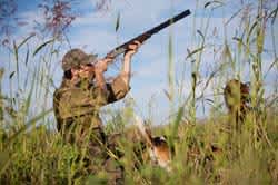 Pattern Your Shotgun for Upland Bird Hunting Success