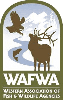 WAFWA Announces Landowner Sign-Up for Lesser Prairie-Chicken Conservation
