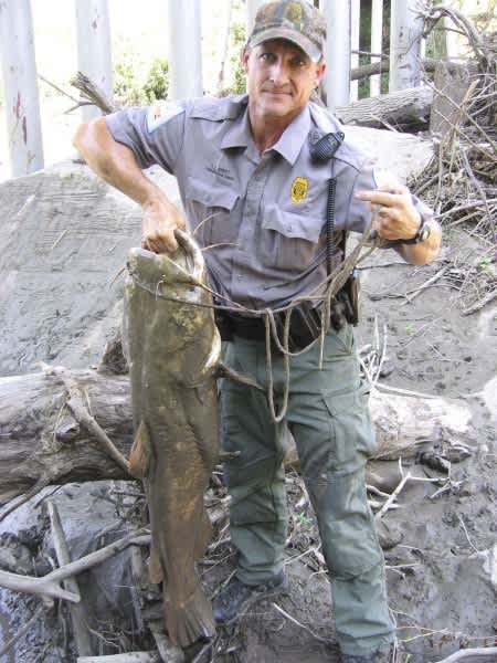 Missouri Conservation Agents Thwart Illegal Catfish Noodling