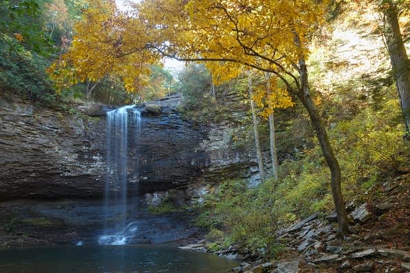 Georgia State Parks’ “Leaf Watch” Helps Leaf Peepers Plan Trips: Online Leaf Tracking Starts October 1