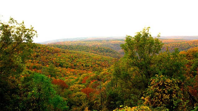 Missouri Department of Conservation Predicts Good Fall Color in Ozarks