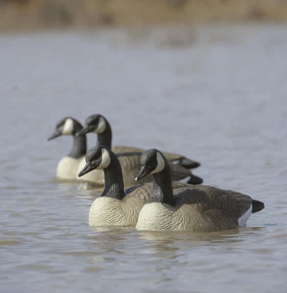 New Standard Size Floating Goose Decoys from Final Approach Offer High Quality and Great Value