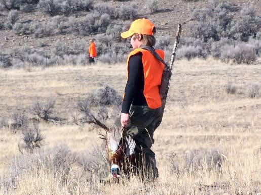 Utah’s Young Hunters Get First Crack at Pheasants