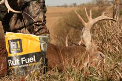 Rack One’s Rut Fuel Will Bring Them in – The Rest is Up to You