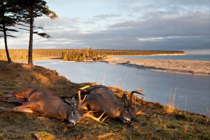 A Truly Unique Hunting Experience: Anticosti Island, Quebec
