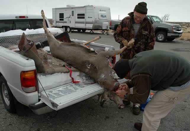 Idaho DFG: All Sportsmen Must Stop at Check Stations
