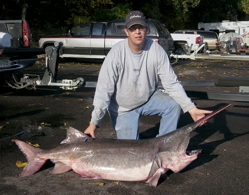 Merna Man Shatters Nebraska State Paddlefish Record