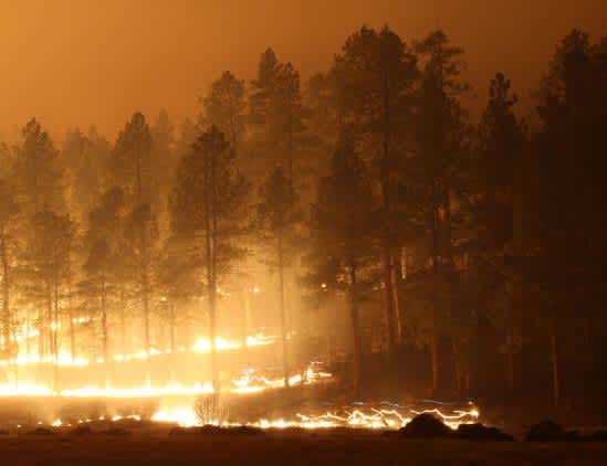 265 Square Mile Wildfire Becomes Largest in New Mexico History