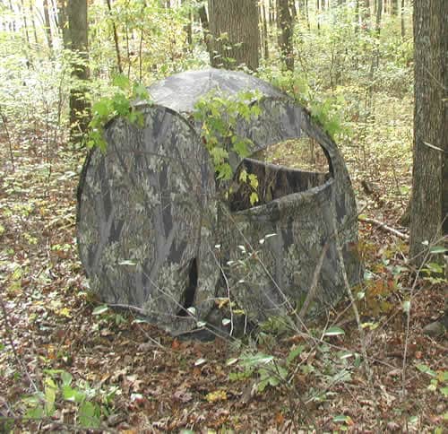 From the Field: Placing Your Hunting Blind or Stand