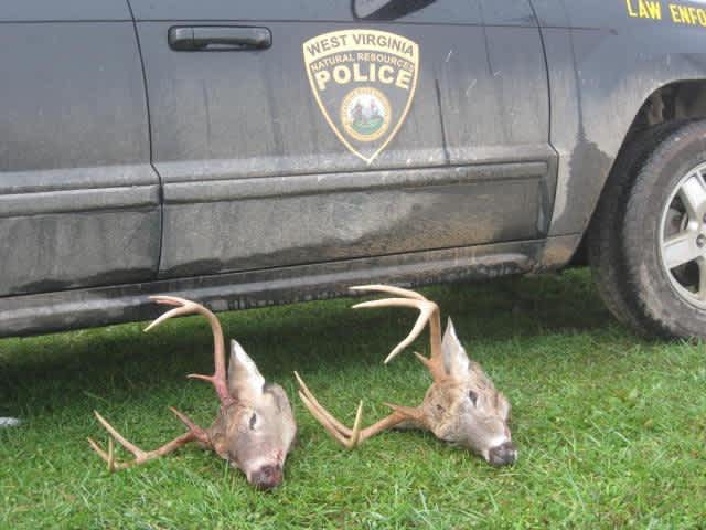 Two West Virginia Men Charged with Poaching Trophy Deer