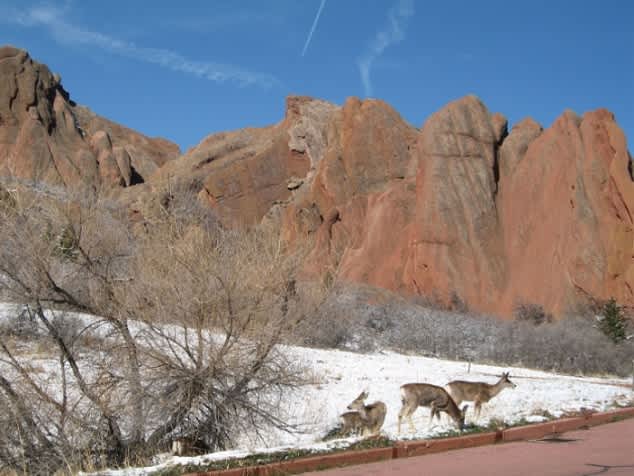 Colorado’s Roxborough State Park Naturalist Guided Activities in December