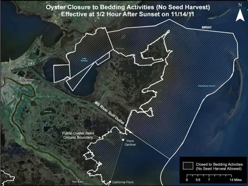 Louisiana Announces Closure of Seed-Oyster Harvest in Public Areas East of the Mississippi River
