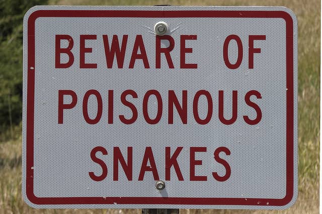 Poisonous Snake Guide