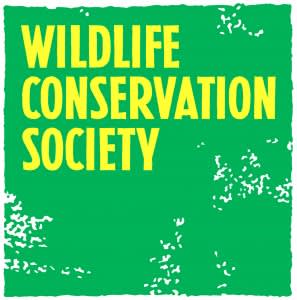Wildlife Conservation Society Video Advises Department of Defense on Threats of Illegal Wildlife Trade