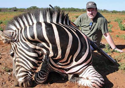 Bagging a Zebra on the African Plains