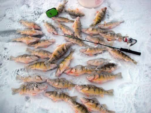 Utah DWR’s Mark Hadley: Ice Fishing Requires Little Investment