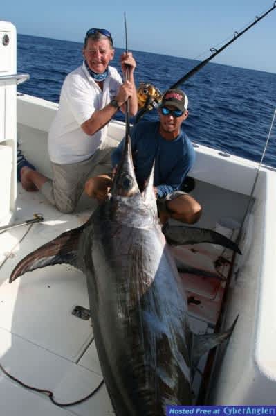 Big Sword Story: Daytime Swordfishing Off Florida’s Coast